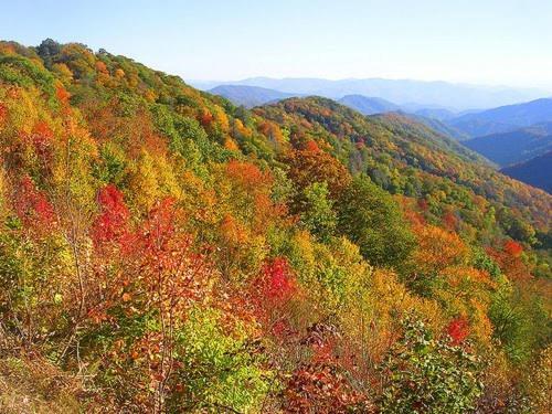 Dreams Come True With This Luxury Cabin! Gatlinburg Zewnętrze zdjęcie
